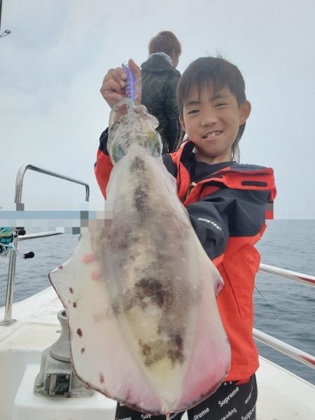 ソルトウォーターガイドフレンズ 釣果