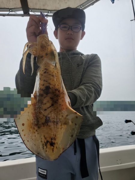 ソルトウォーターガイドフレンズ 釣果