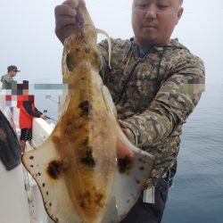 ソルトウォーターガイドフレンズ 釣果