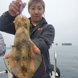 ソルトウォーターガイドフレンズ 釣果