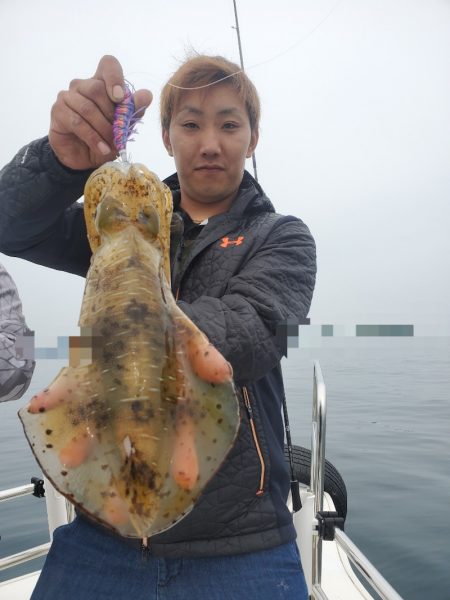 ソルトウォーターガイドフレンズ 釣果