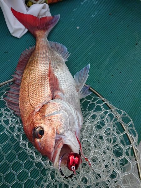 鷹王丸 釣果