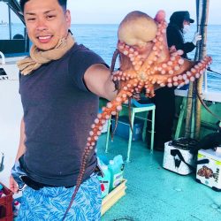 ヤザワ渡船 釣果