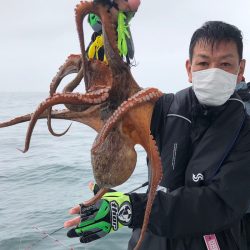 ヤザワ渡船 釣果