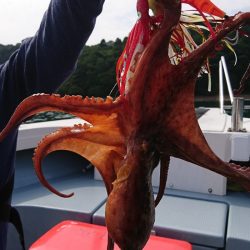 遊漁船　家入 釣果