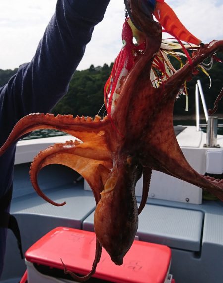 遊漁船　家入 釣果