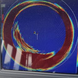 ブルースフィッシングサービス 釣果