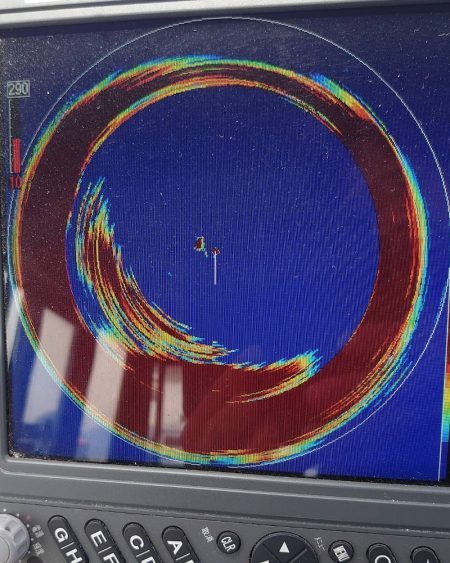 ブルースフィッシングサービス 釣果