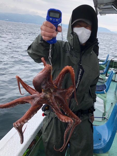 ヤザワ渡船 釣果