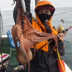 ヤザワ渡船 釣果