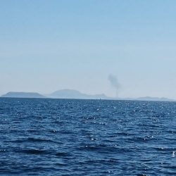 遊漁船 家入 釣果