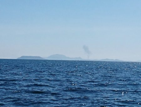 遊漁船 家入 釣果