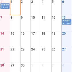 遊漁船 家入 釣果