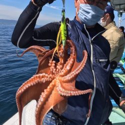 ヤザワ渡船 釣果