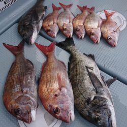 遊漁船 家入 釣果