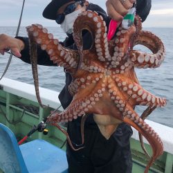 ヤザワ渡船 釣果