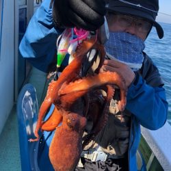 ヤザワ渡船 釣果