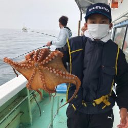 ヤザワ渡船 釣果