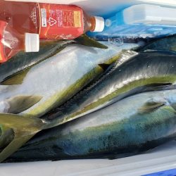 LUSTER『ラスター』 釣果