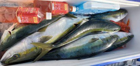 LUSTER『ラスター』 釣果