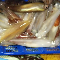 海龍丸(石川) 釣果