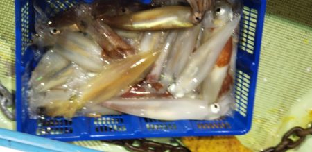 海龍丸(石川) 釣果