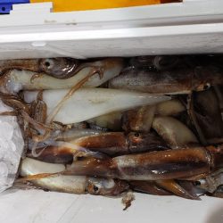 海龍丸（石川） 釣果