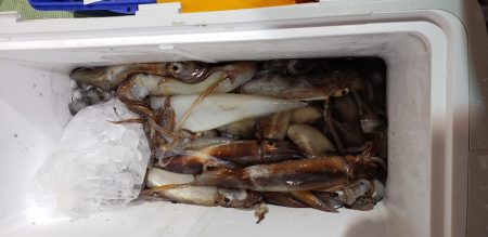 海龍丸（石川） 釣果