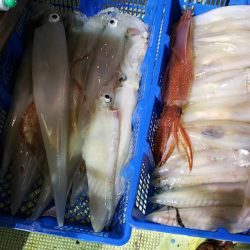 海龍丸（石川） 釣果