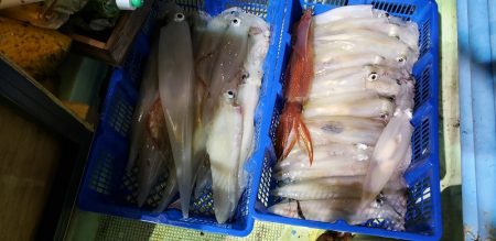 海龍丸（石川） 釣果