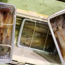 海龍丸（石川） 釣果