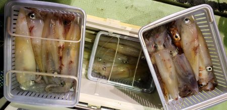 海龍丸（石川） 釣果