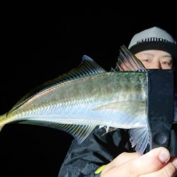 シースナイパー海龍 釣果