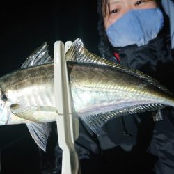 シースナイパー海龍 釣果