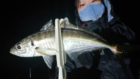シースナイパー海龍 釣果