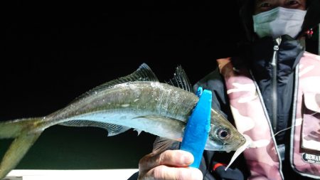 シースナイパー海龍 釣果