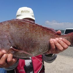 第三共栄丸 釣果