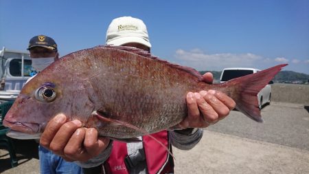 第三共栄丸 釣果