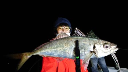 シースナイパー海龍 釣果