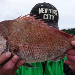 第三共栄丸 釣果