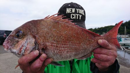 第三共栄丸 釣果