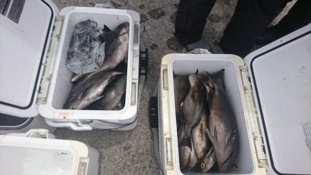 しば渡船 釣果