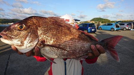 第三共栄丸 釣果