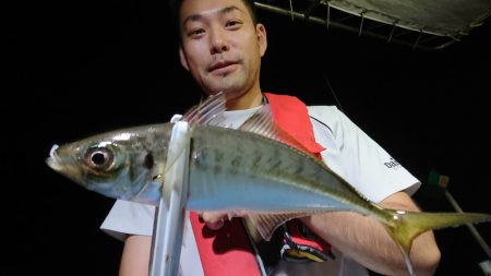 シースナイパー海龍 釣果