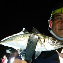 シースナイパー海龍 釣果