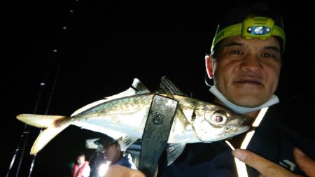 シースナイパー海龍 釣果