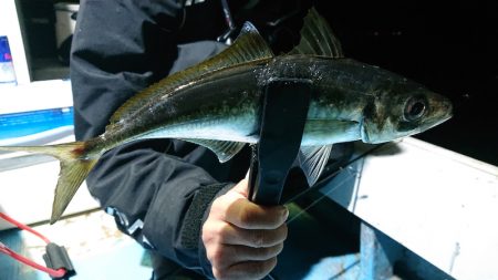 シースナイパー海龍 釣果