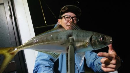 シースナイパー海龍 釣果