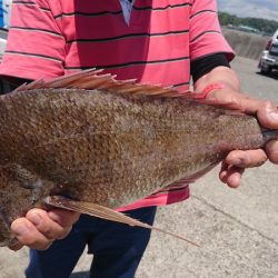 第三共栄丸 釣果