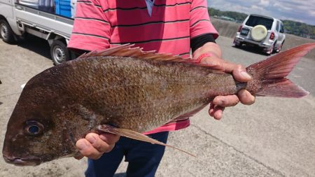 第三共栄丸 釣果